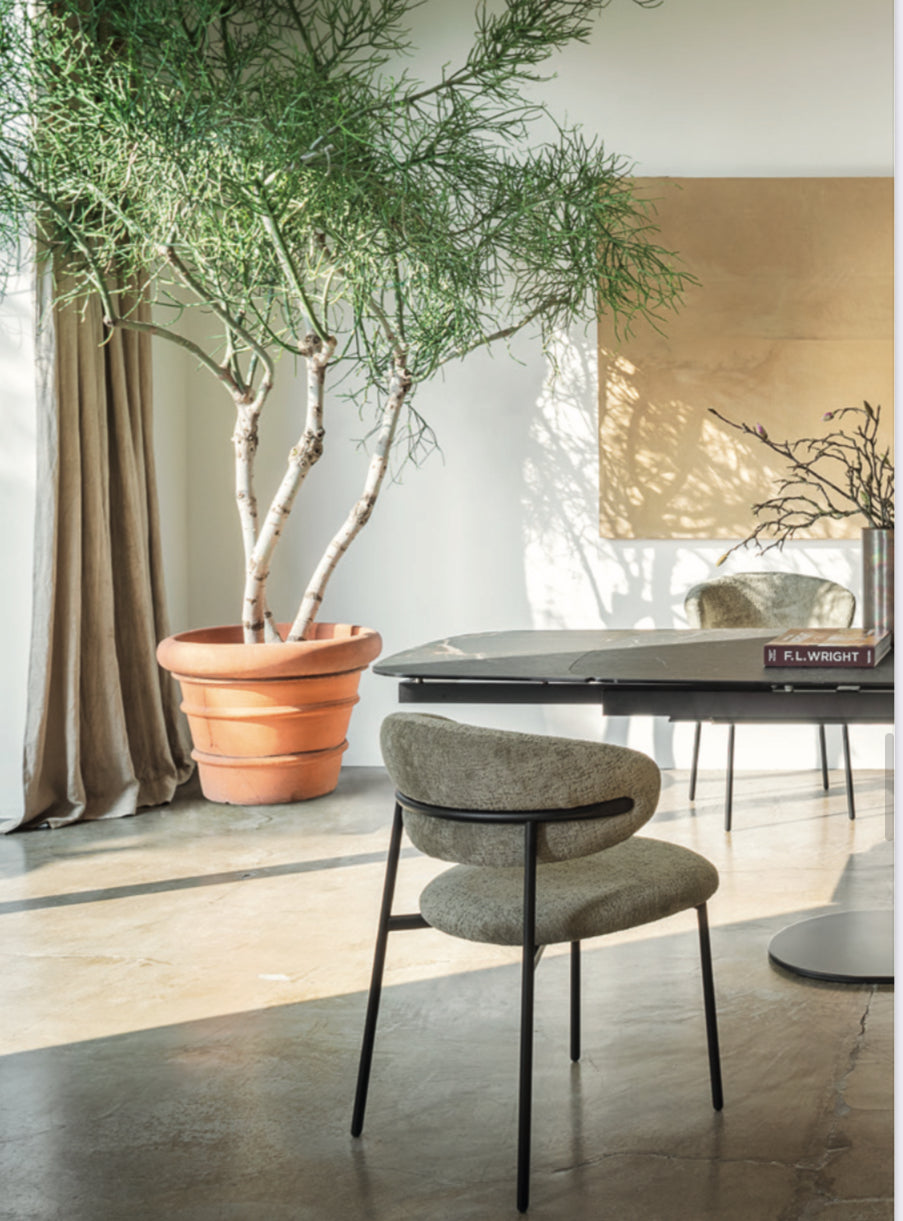 Calligaris OLEANDRO Spisebordsstol – polstret stol med metalstel, designet af Archirivolto, ideel til moderne hjem og erhverv