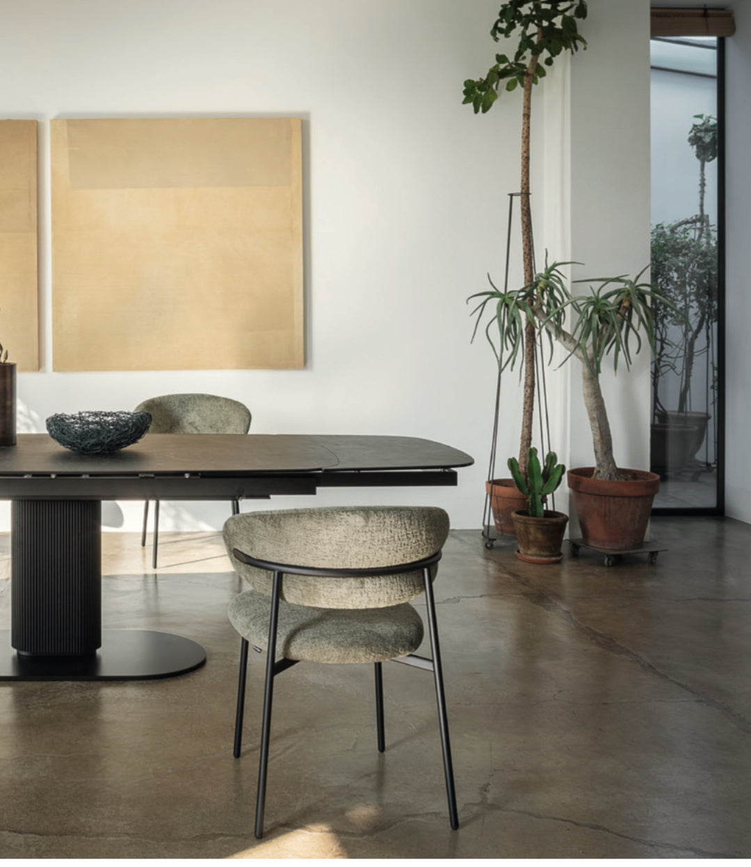 Calligaris OLEANDRO Spisebordsstol – polstret stol med metalstel, designet af Archirivolto, ideel til moderne hjem og erhverv