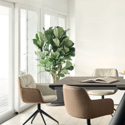 Calligaris Cocoon Lænestol – polstret lænestol med kraftigt skumfys og træben, designet af Edi & Paolo Ciani