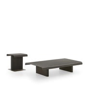 Ditre Italia Avalon Sofabord – Organisk Form i Træ og Metal